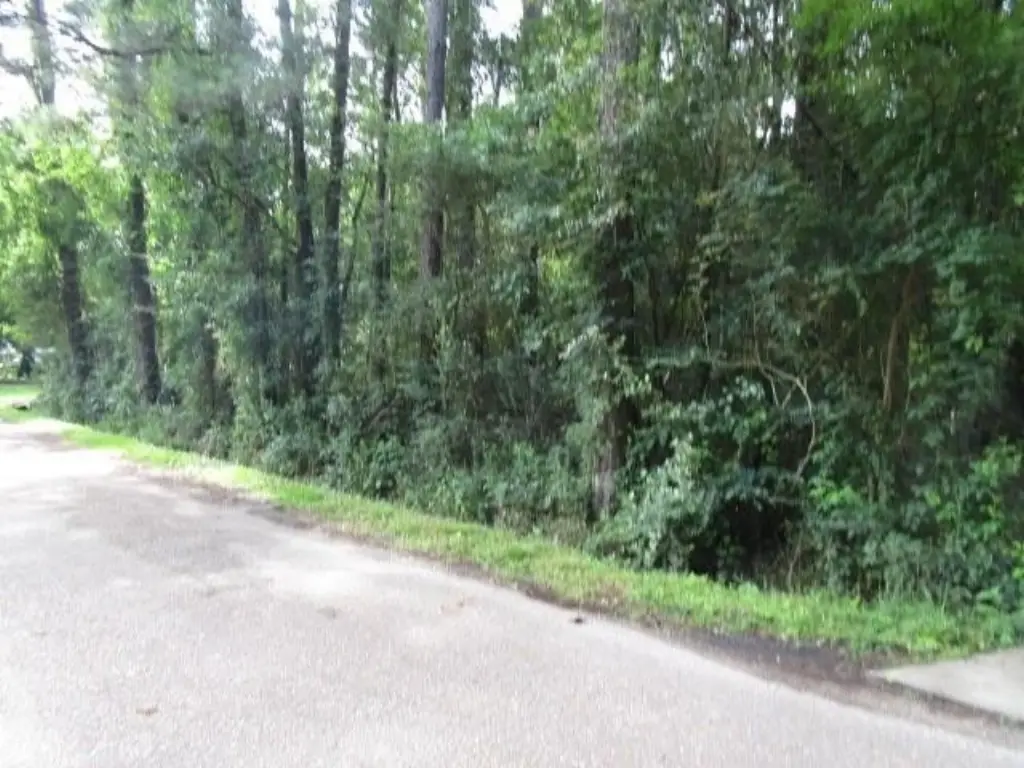 Picture 2