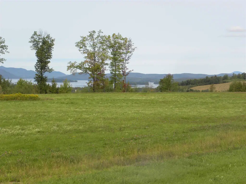 Picture 6