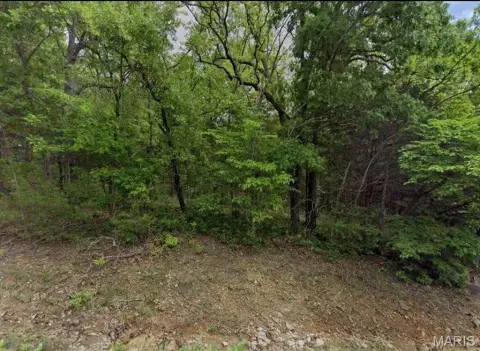 Land For Sale, Leslie, MO