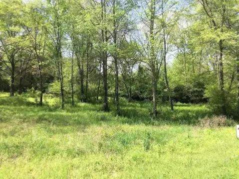 Residential Lot in Dover, AR