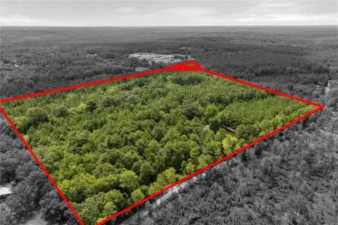 40 Acres Unrestricted Land Wilmer