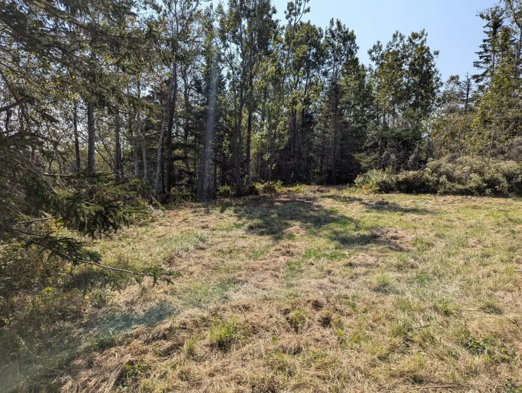 Picture 28