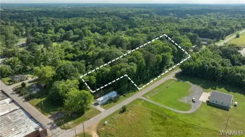 Greensboro, Alabama Wooded Lot