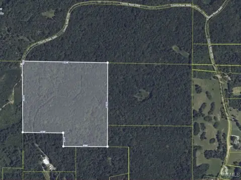 38 Acres Hunting Land, Alabama