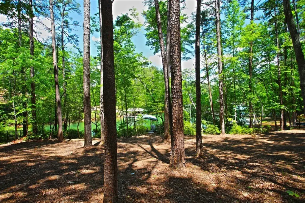 Picture 31