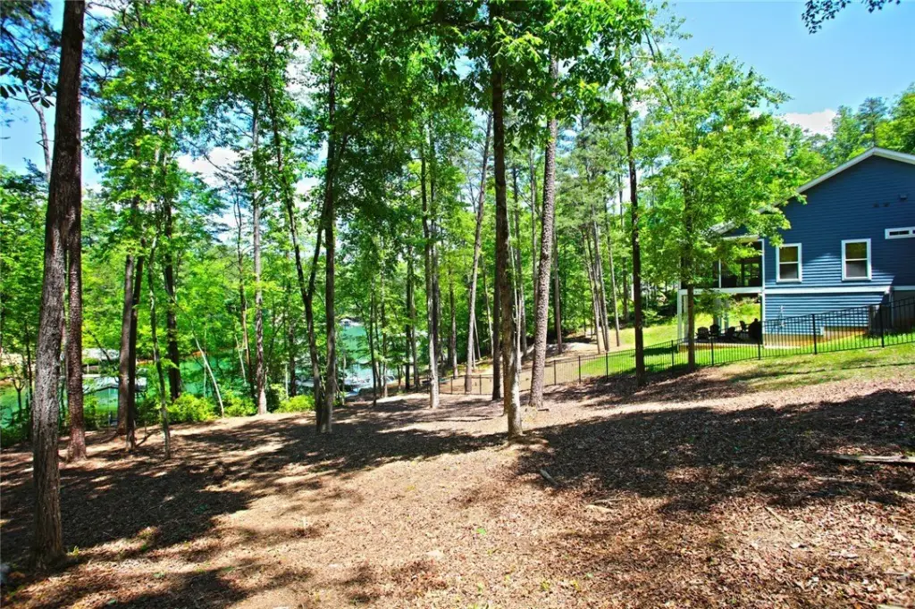 Picture 36