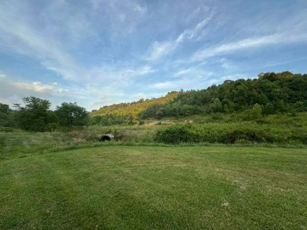 Picture 10