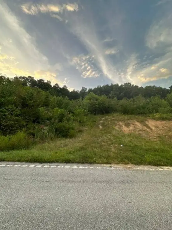 Picture 30
