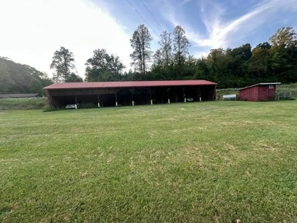 Picture 3