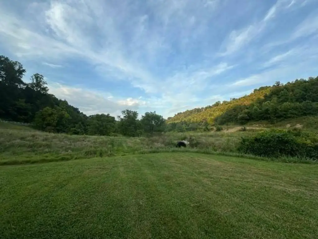 Picture 18