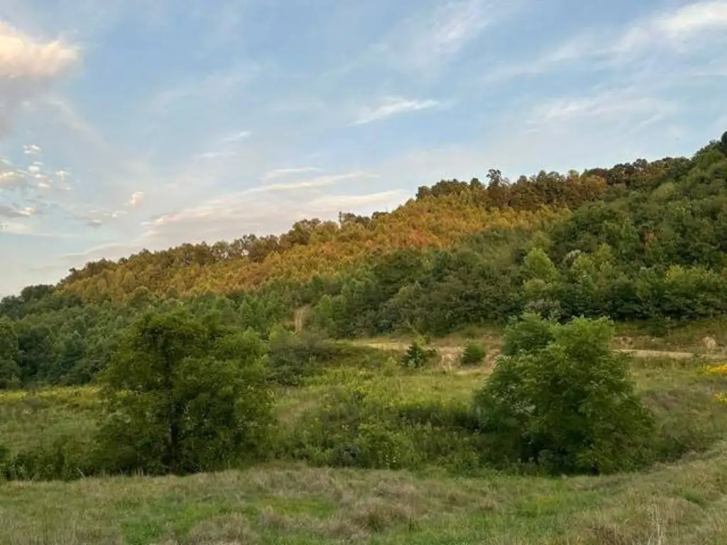 Picture 25
