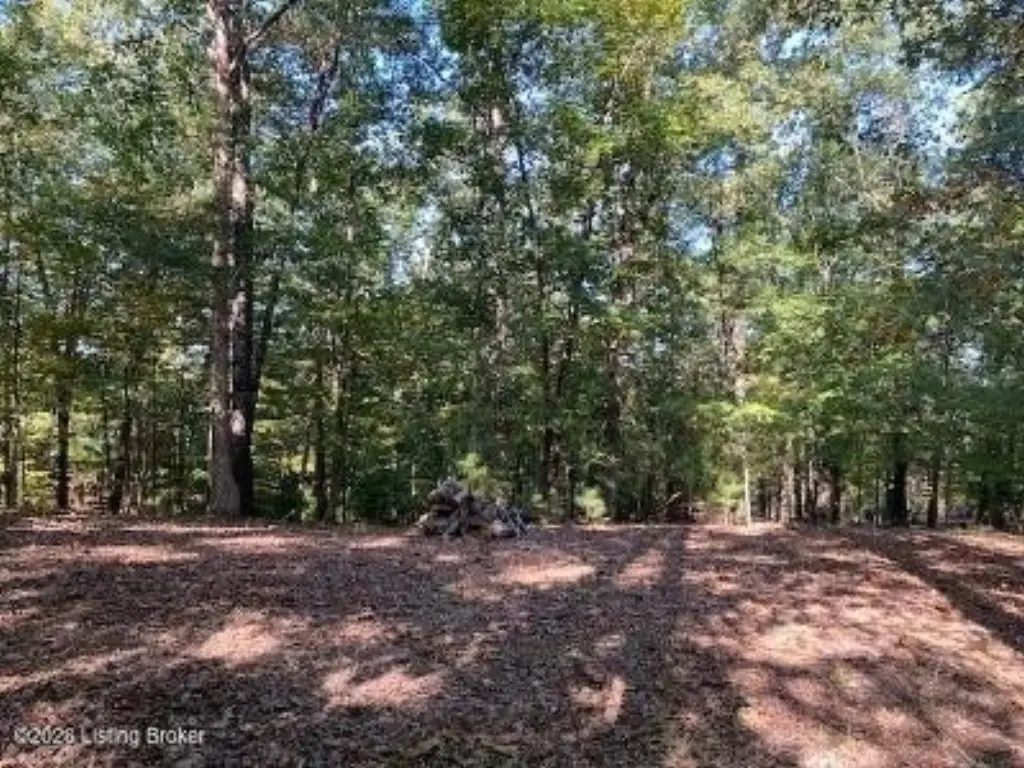 Picture 20