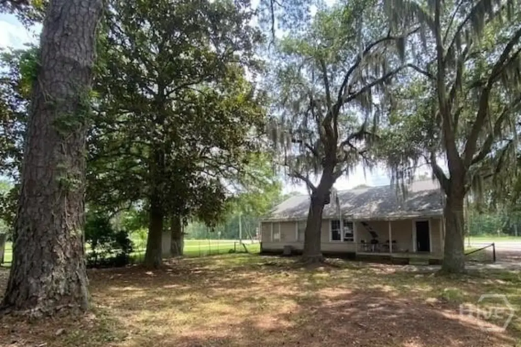 Picture 5