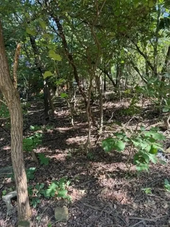 Picture 9