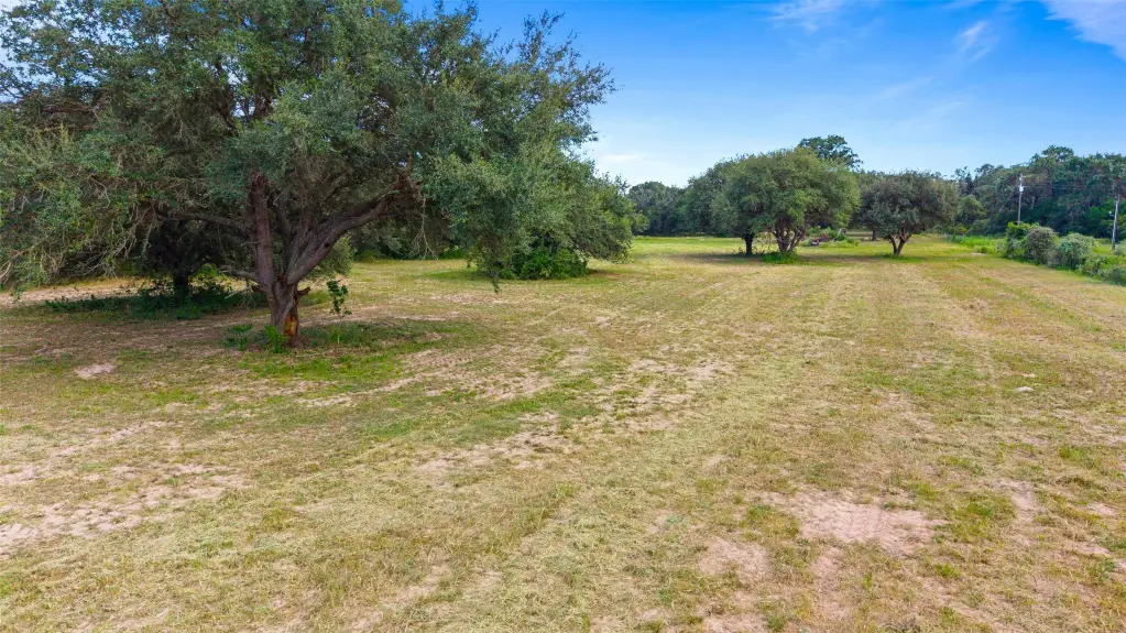 Picture 27