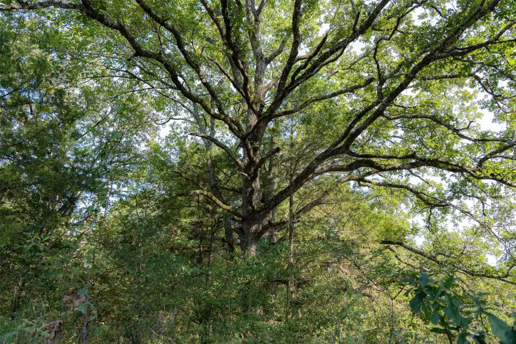 Picture 20