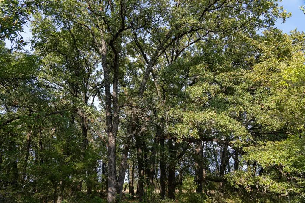 Picture 35