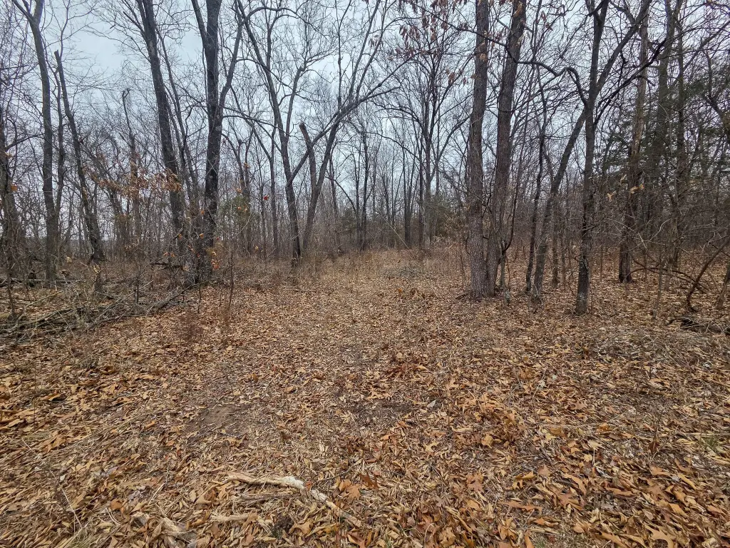 Picture 18