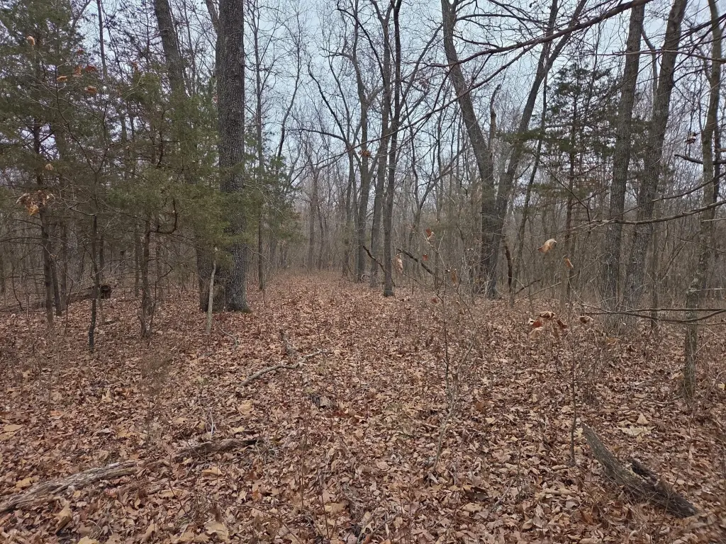 Picture 13