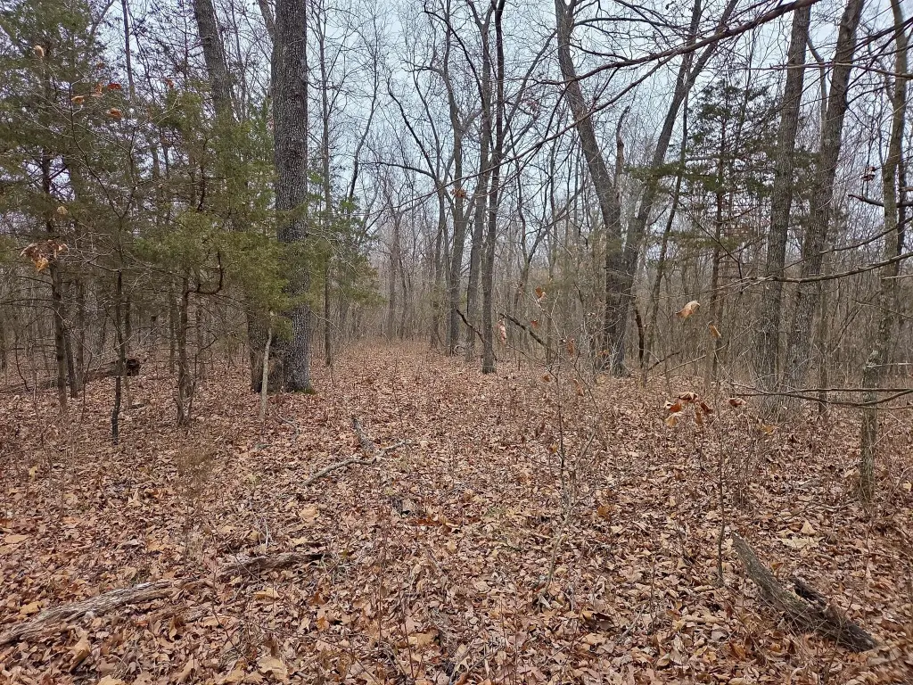 Picture 17