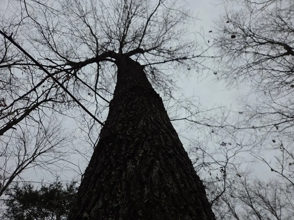 Picture 25