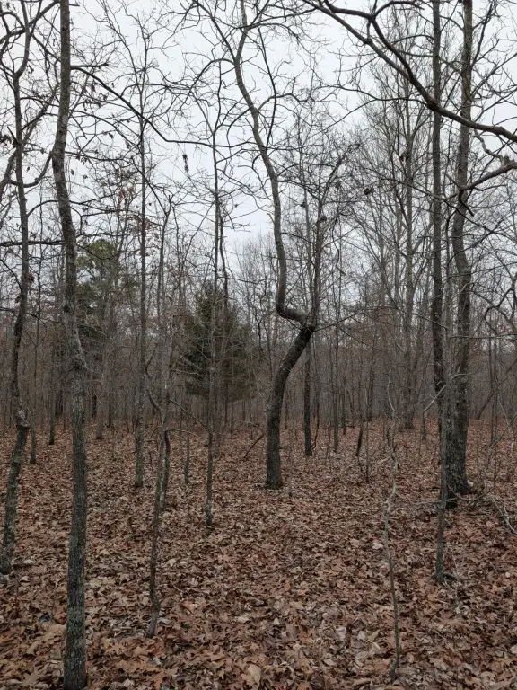 Picture 9