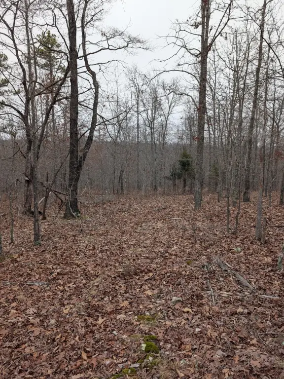 Picture 13