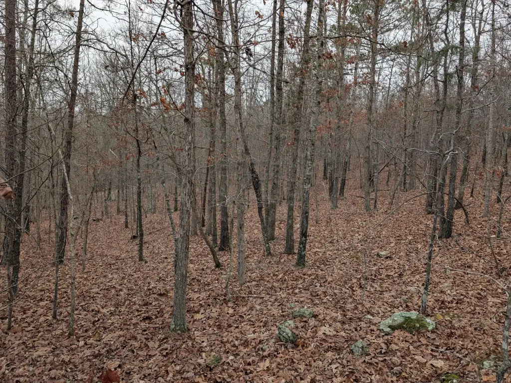 Picture 21