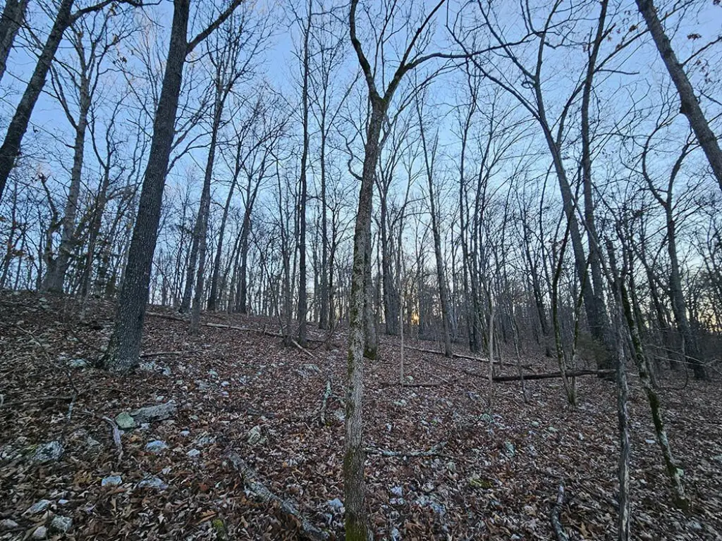 Picture 34