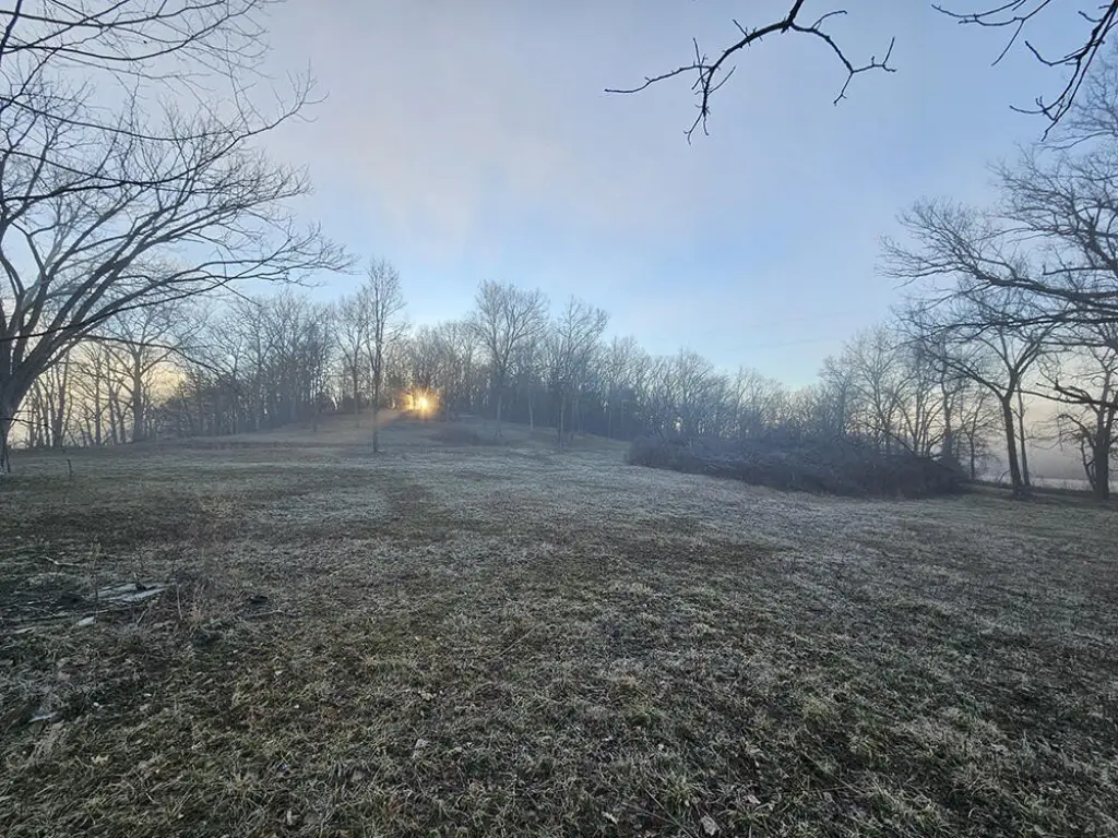 Picture 29