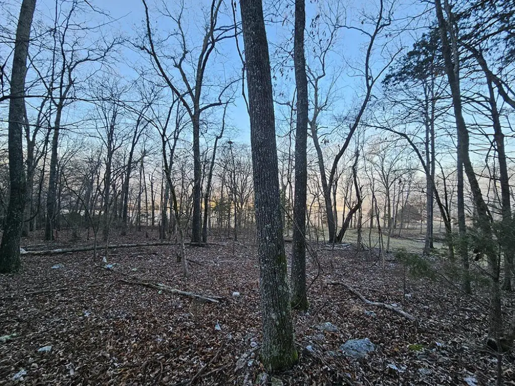 Picture 36
