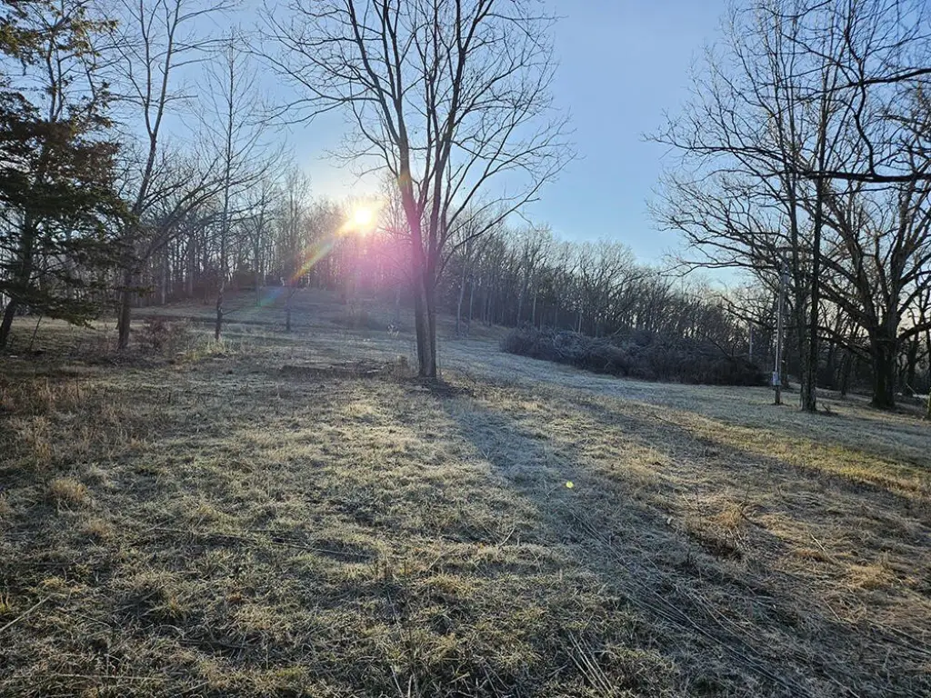 Picture 46