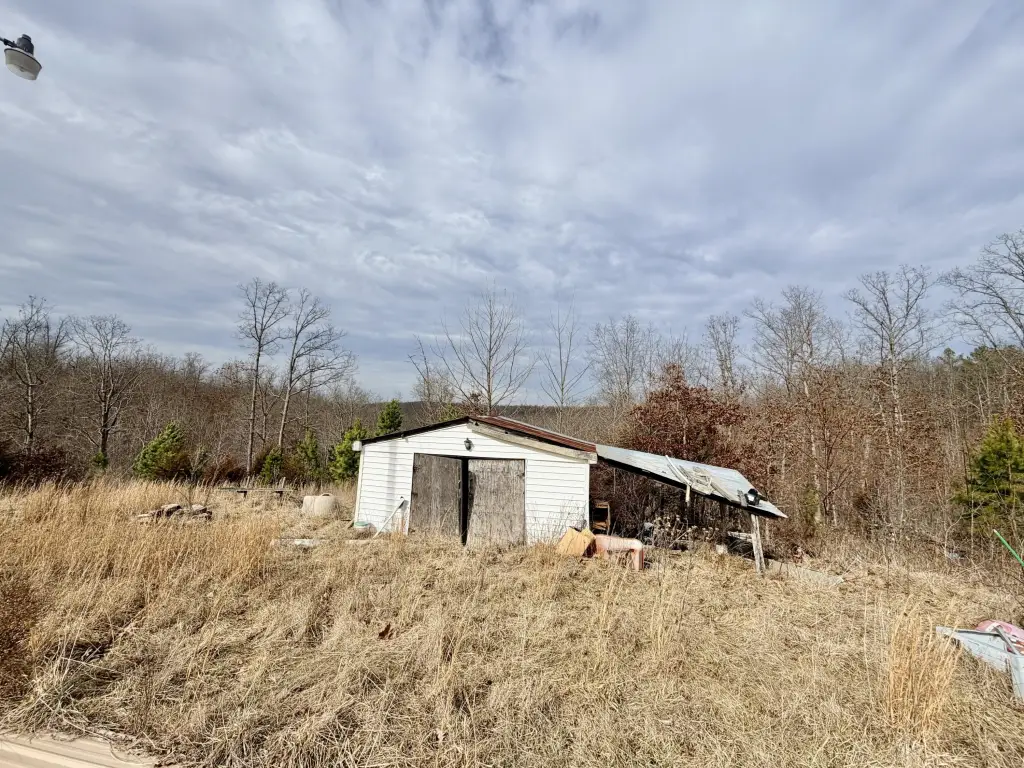 Picture 6