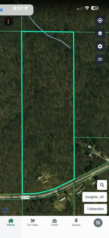 Picture 3