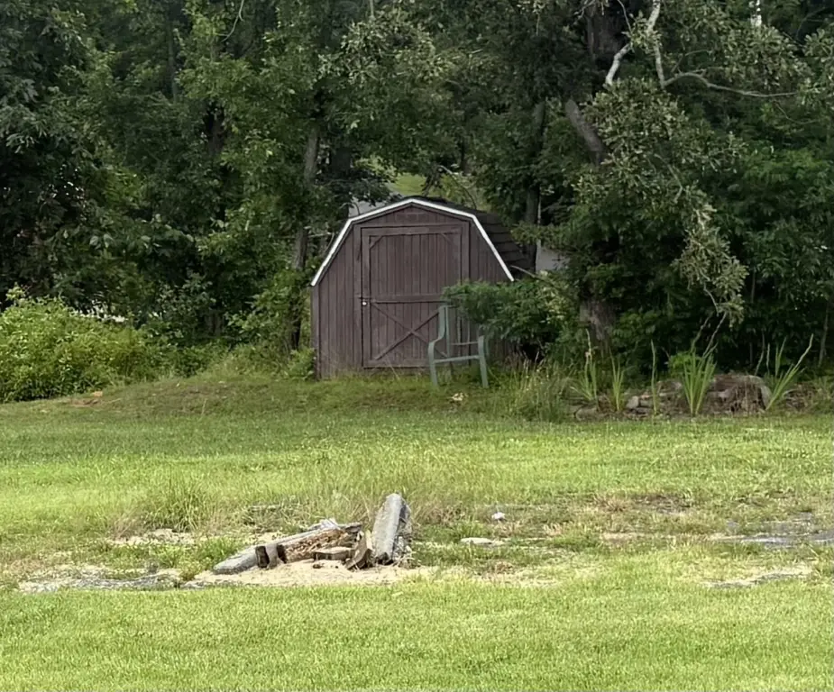 Picture 2