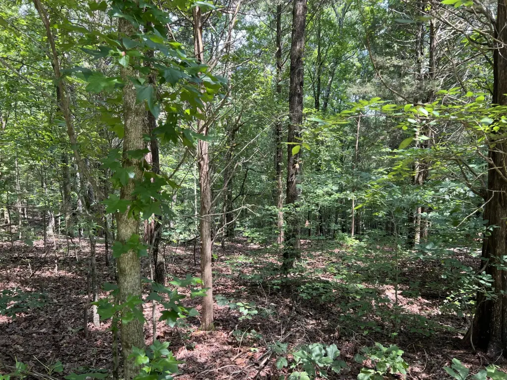 Picture 2