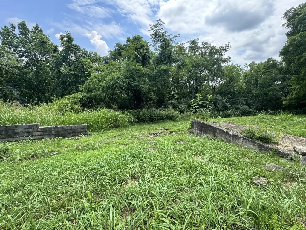 Picture 5
