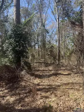 Scroggins, TX Land Opportunity