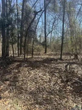 Scroggins, TX Land Opportunity