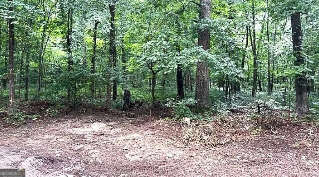 Picture 2