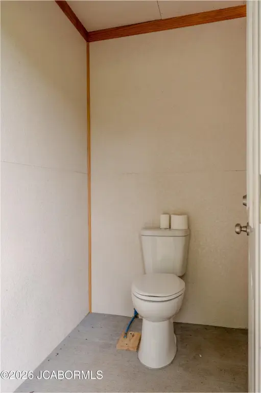 Picture 16