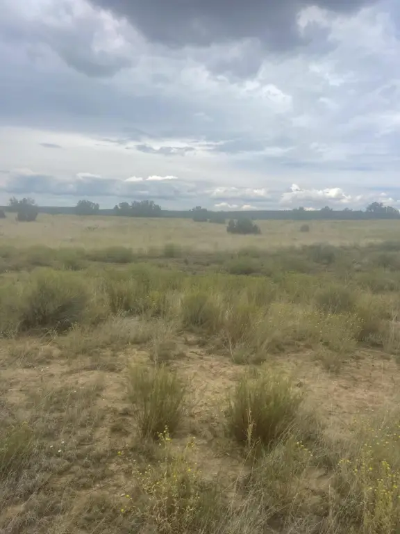 Picture 26
