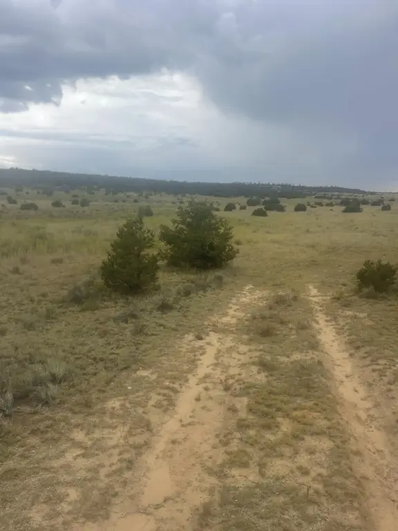 Picture 36