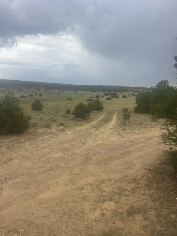 Picture 42