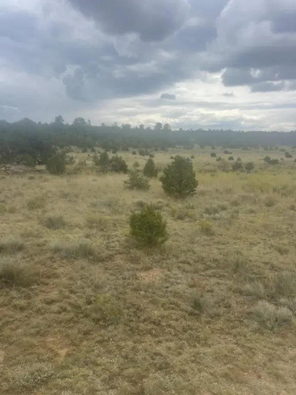 Picture 37
