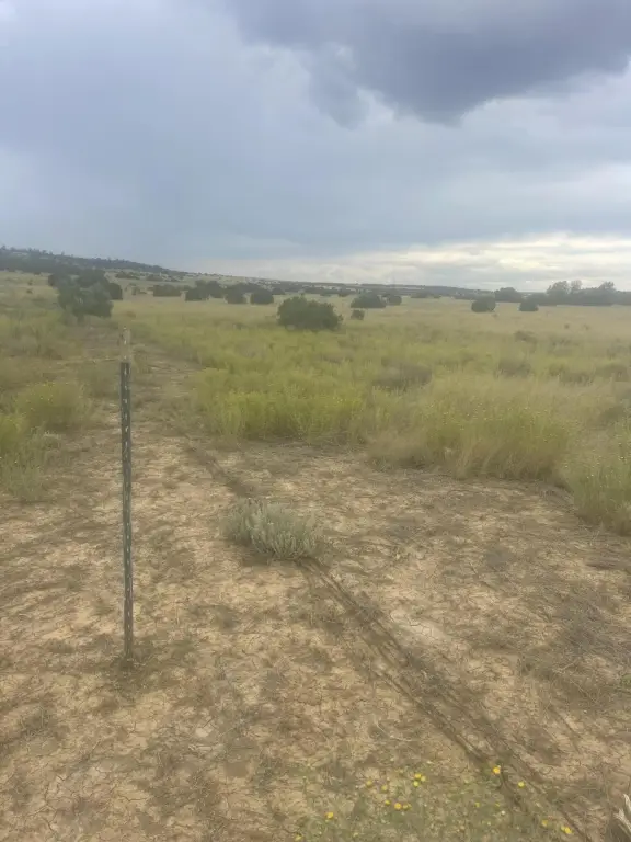 Picture 27