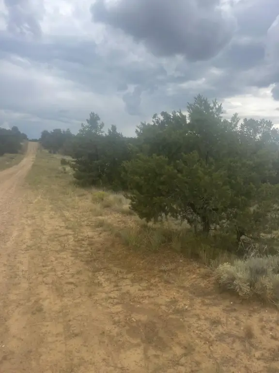 Picture 40