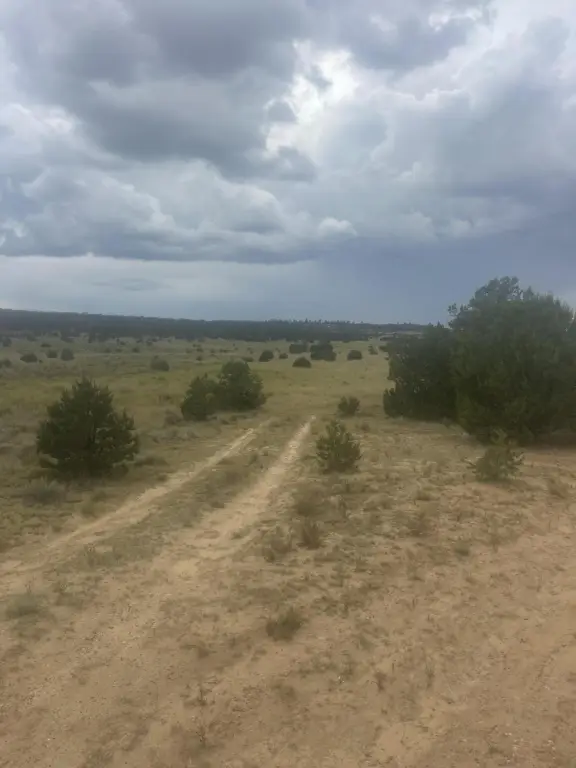 Picture 4