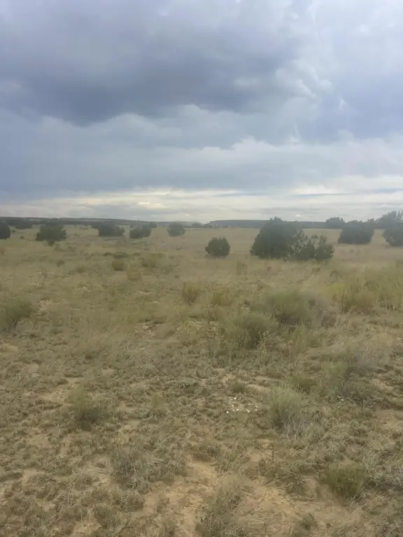 Picture 25