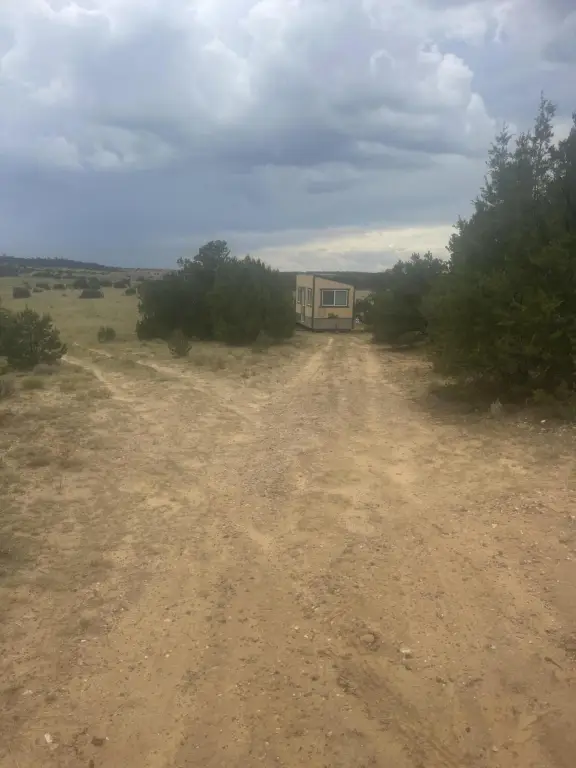 Picture 2